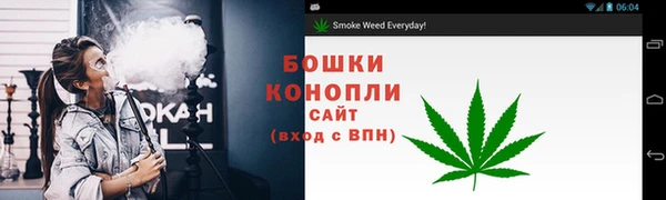 тгк Пересвет