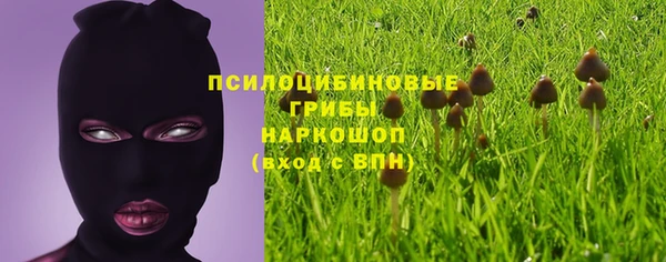 прущая мука Алзамай