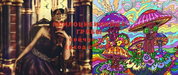 прущая мука Алзамай